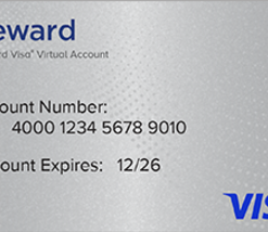 Visa® Reward Virtual Account, 12-Month Fee Down