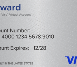 Visa® Reward Virtual Account 12 Month Expiration US