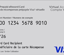 Prepaid Visa* eReward Card Canada